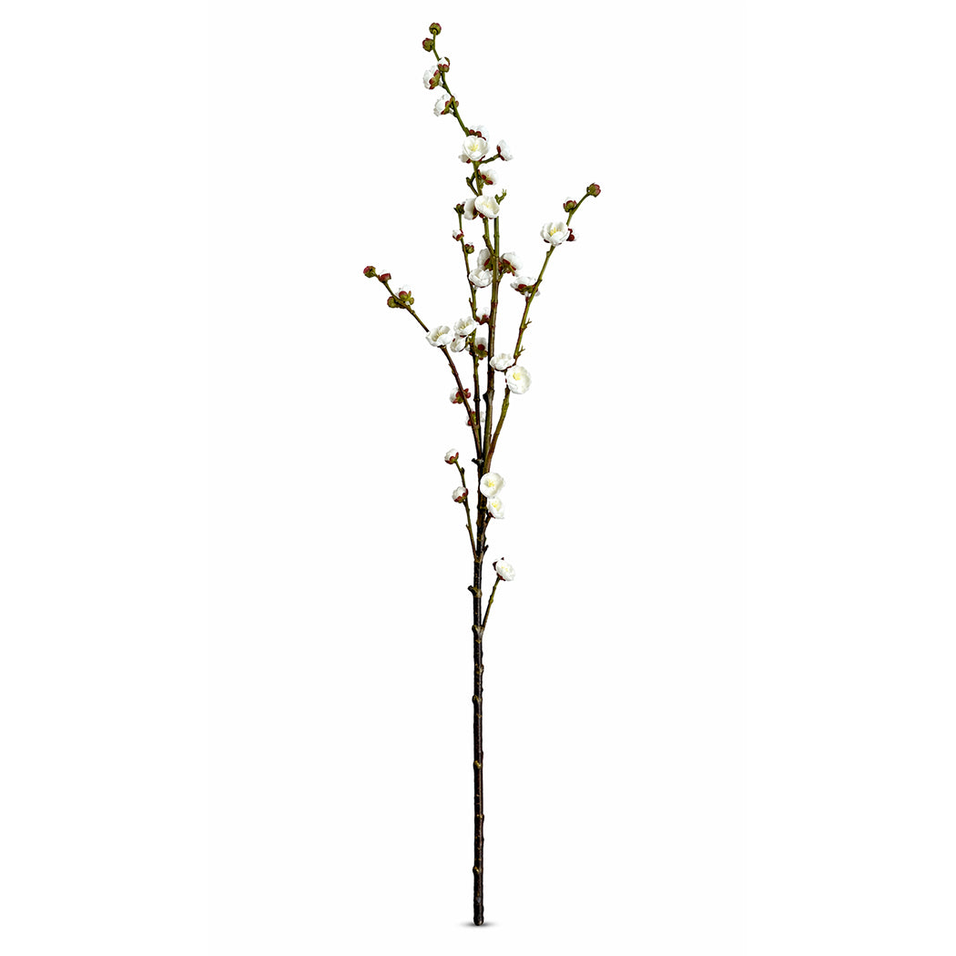 KOART| Chimonanthus Λευκό Τεχνητό Λουλούδι 1 τμχ. 86 cm