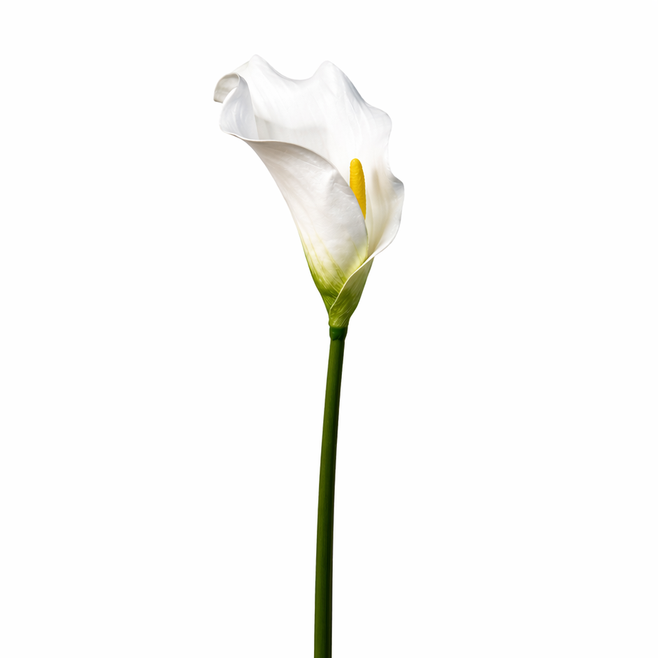 KOART| Krinos Λευκό Τεχνητό Λουλούδι  Real Touch  64.5 cm 1τμχ.