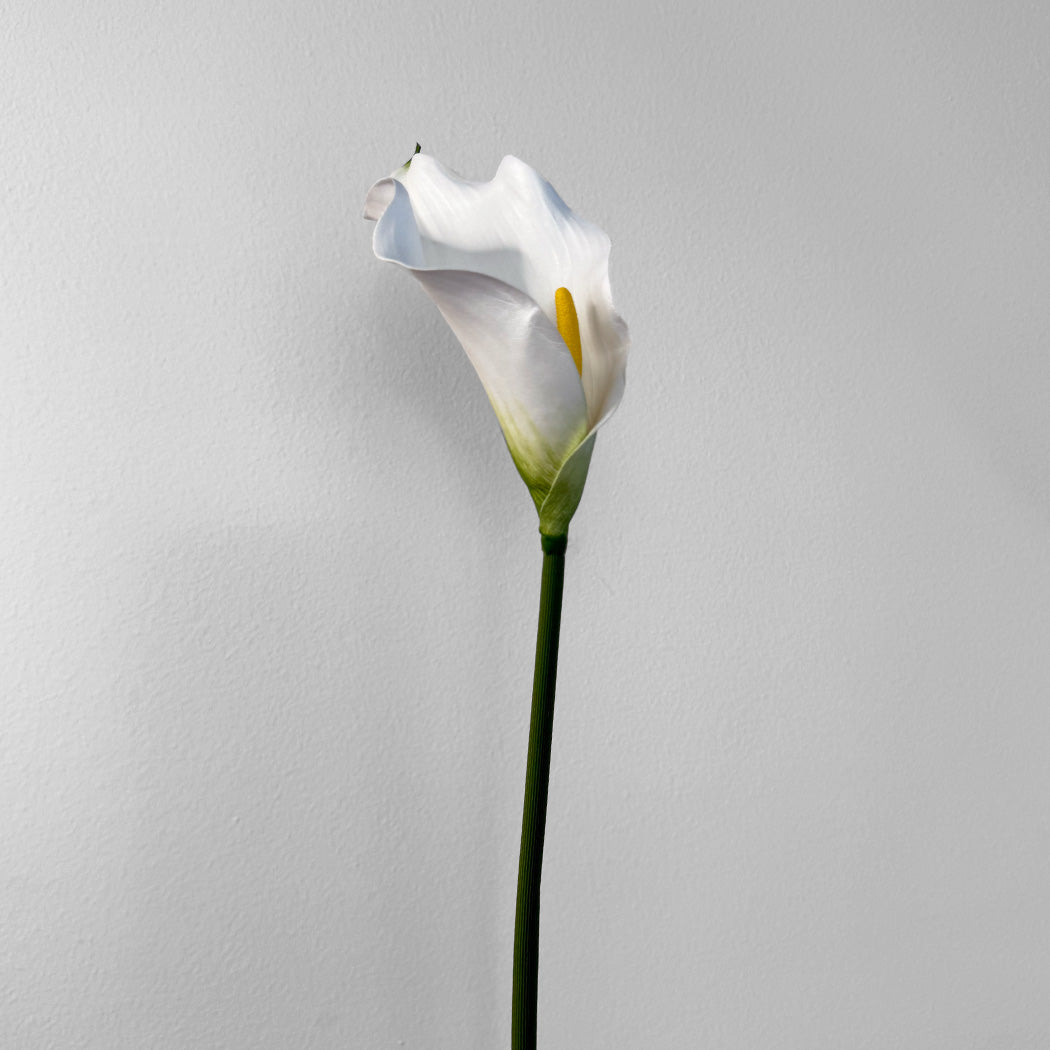 KOART| Krinos Λευκό Τεχνητό Λουλούδι  Real Touch  64.5 cm 1τμχ.