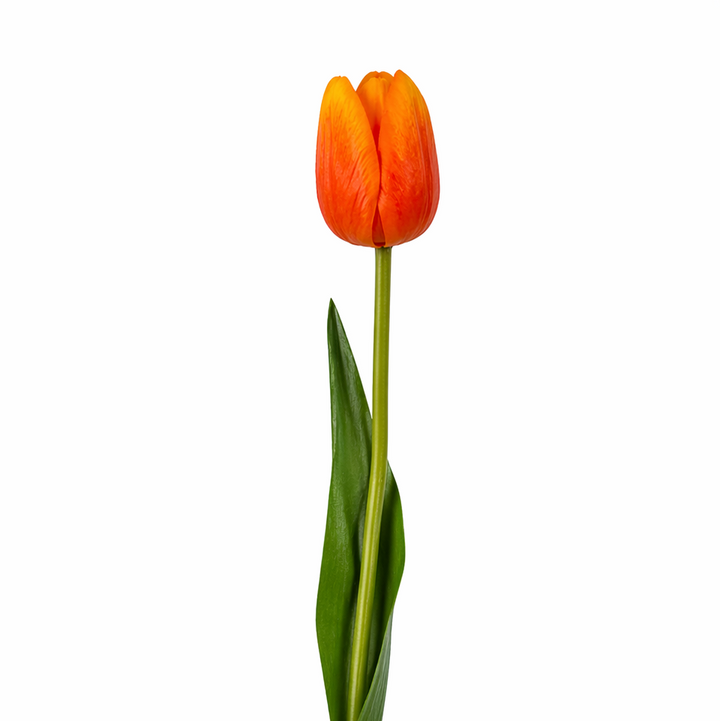 KOART| TULIPA1 Orange Artificial Tulip Real Touch 47.5 cm. 1pc.
